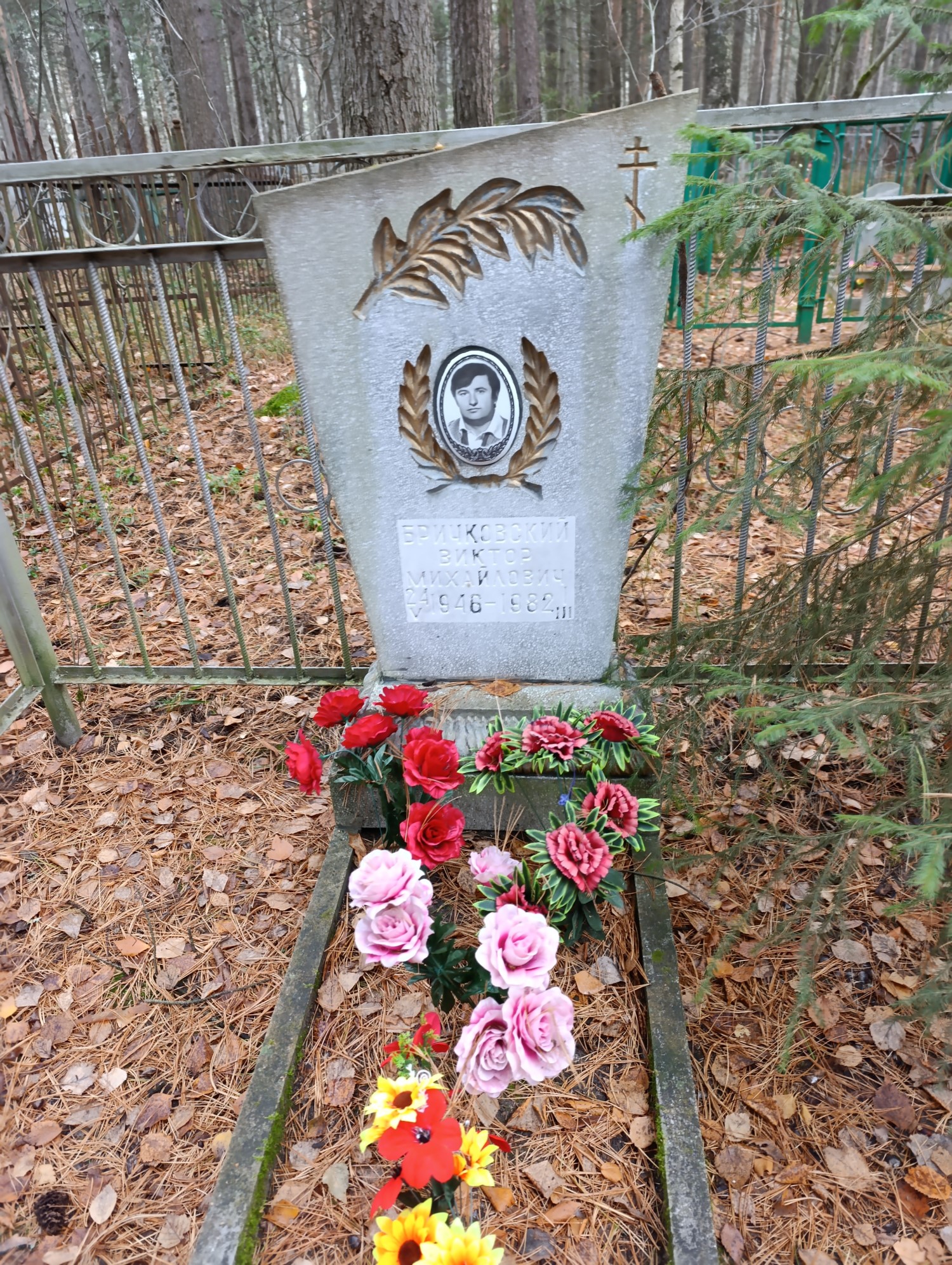 Бричковский Виктор Михайлович