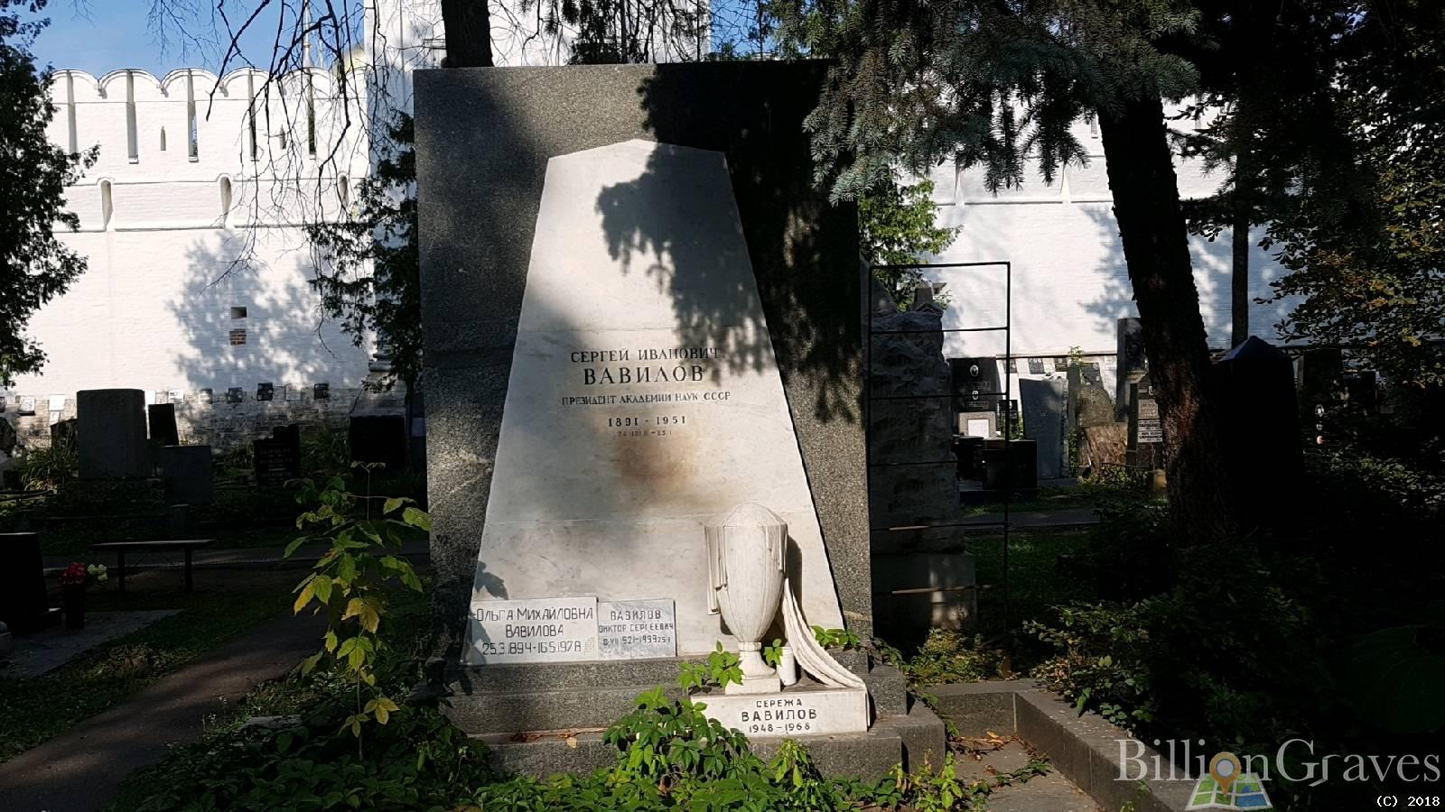 Вавилова Ольга Михайловна