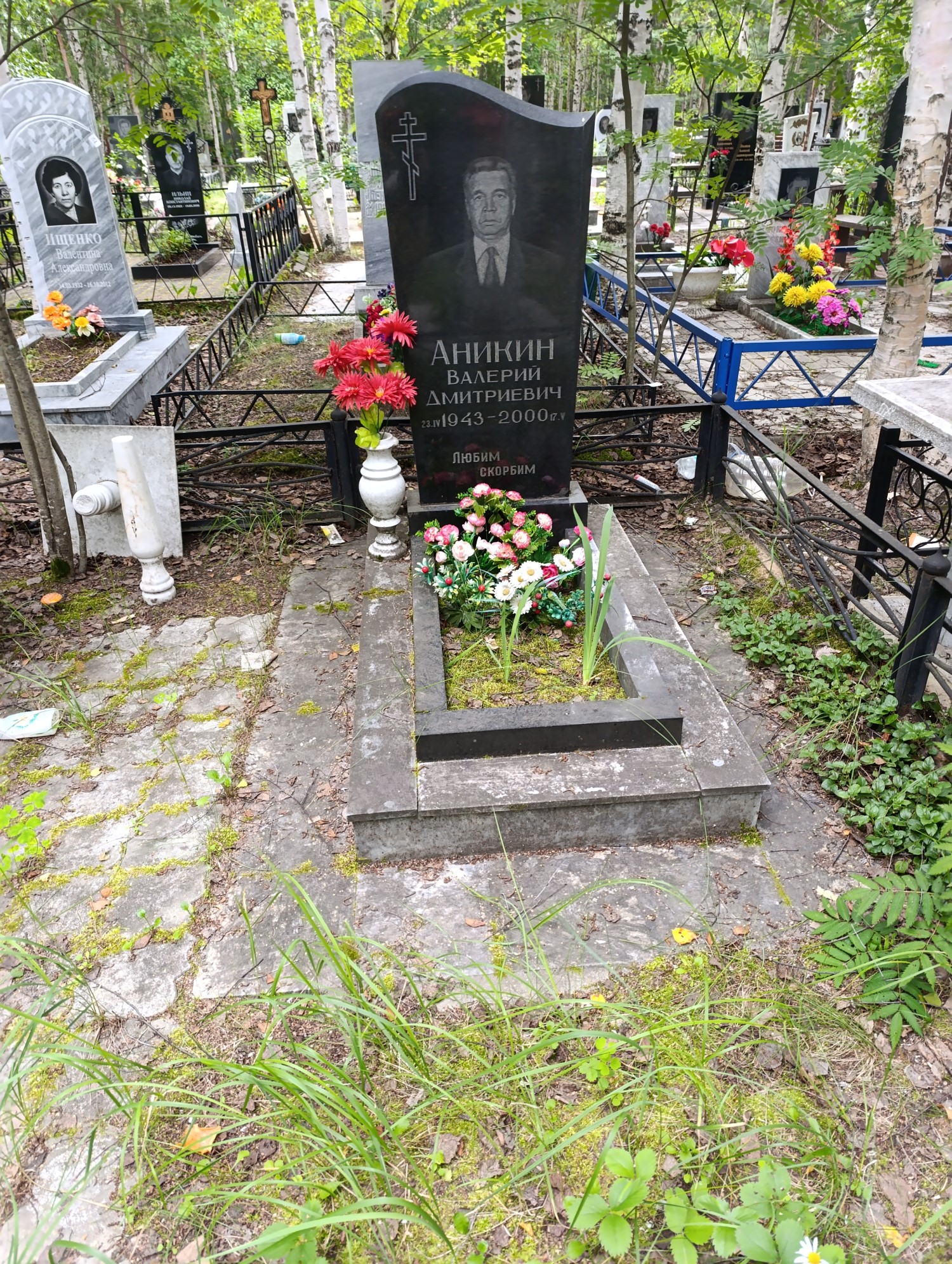 Аникин Валерий Дмитриевич