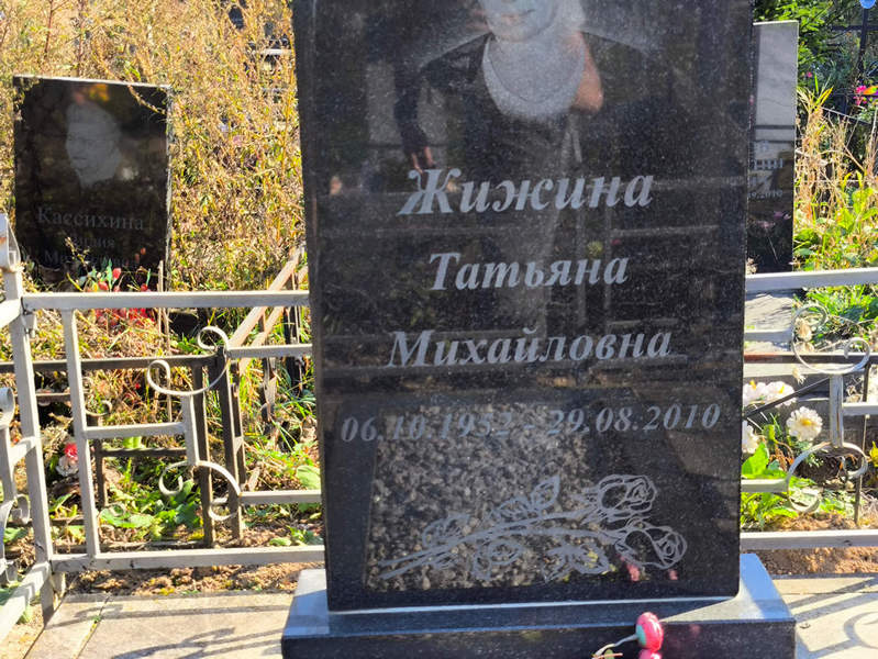 Жижина