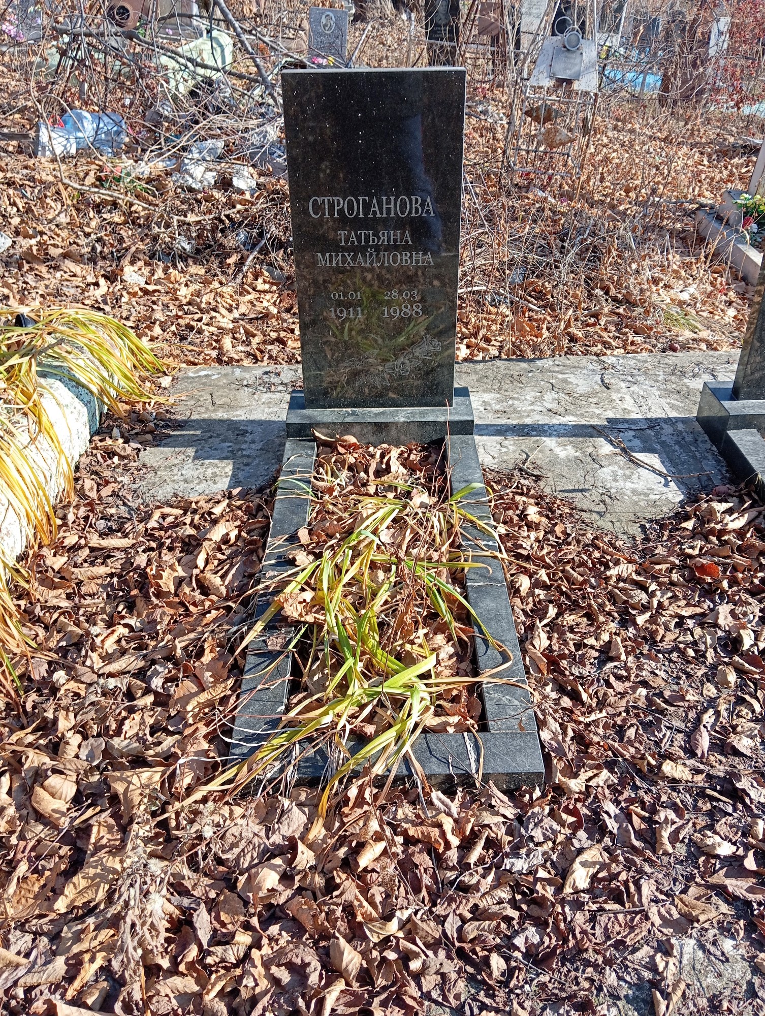 Строганова Татьяна Михайловна