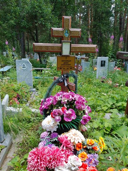Лопаницын Денис Алексеевич
