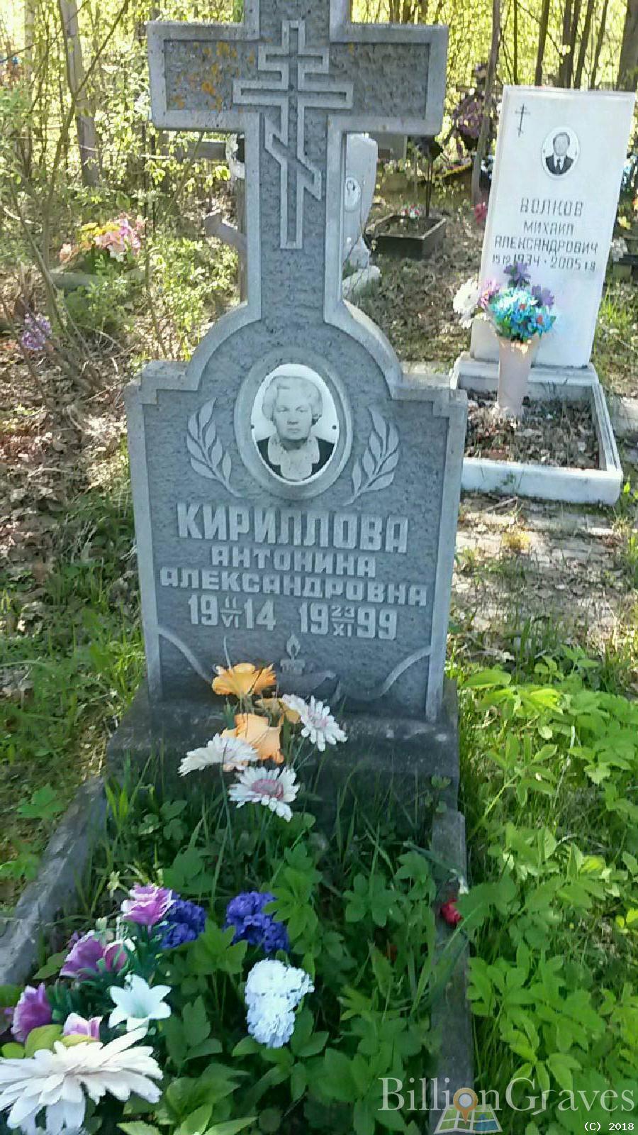 кириллова антонина александровна