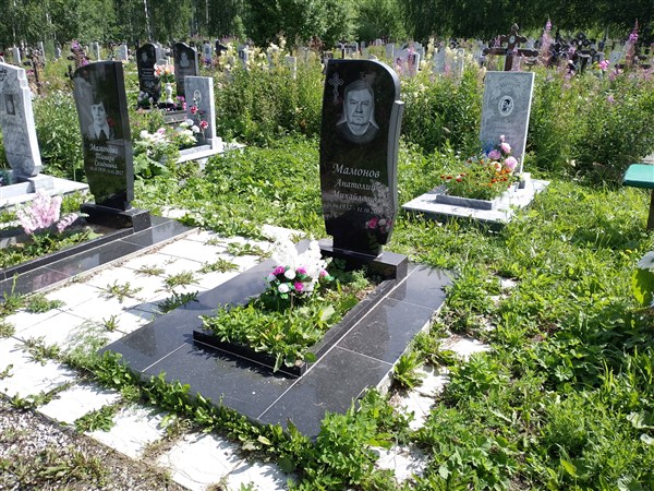 Мамонов Анатолий Михайлович