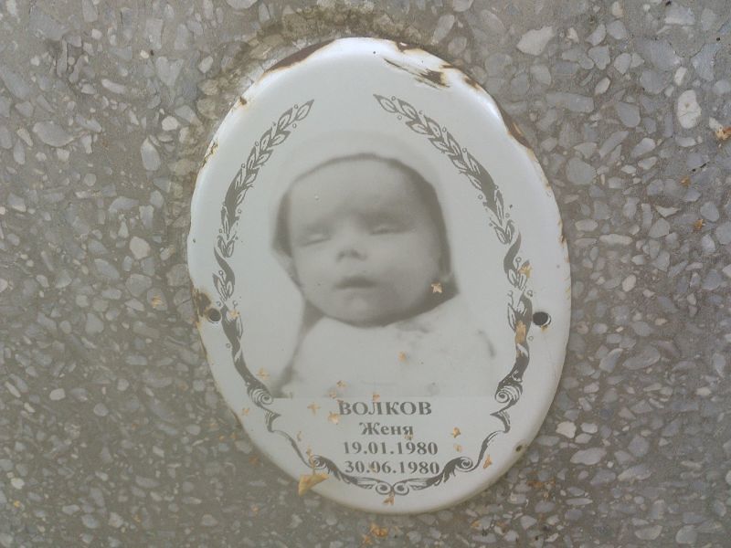 Женя Волков