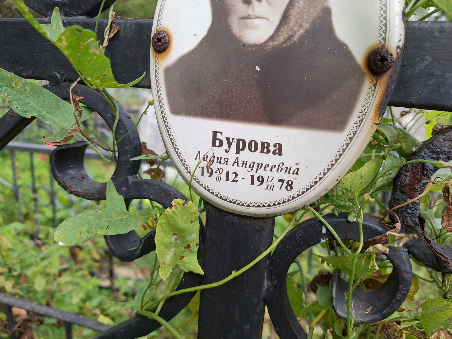 Бурова