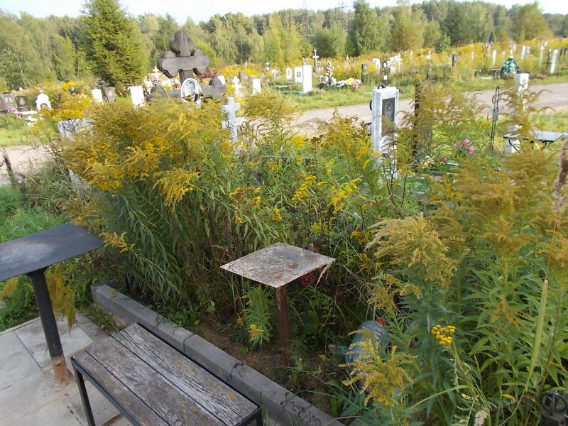 Шишкин Борис Александрович