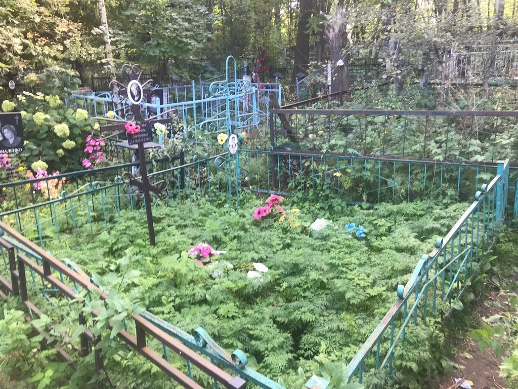Короткова Людмила Викторовна