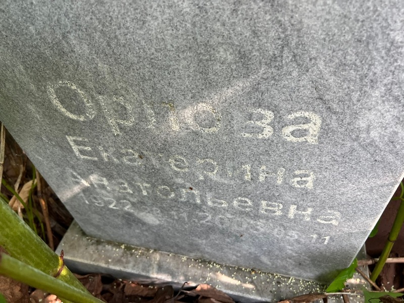 Орлова