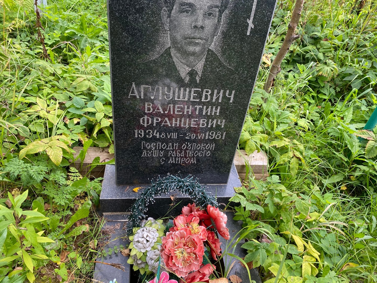 Аглушевич