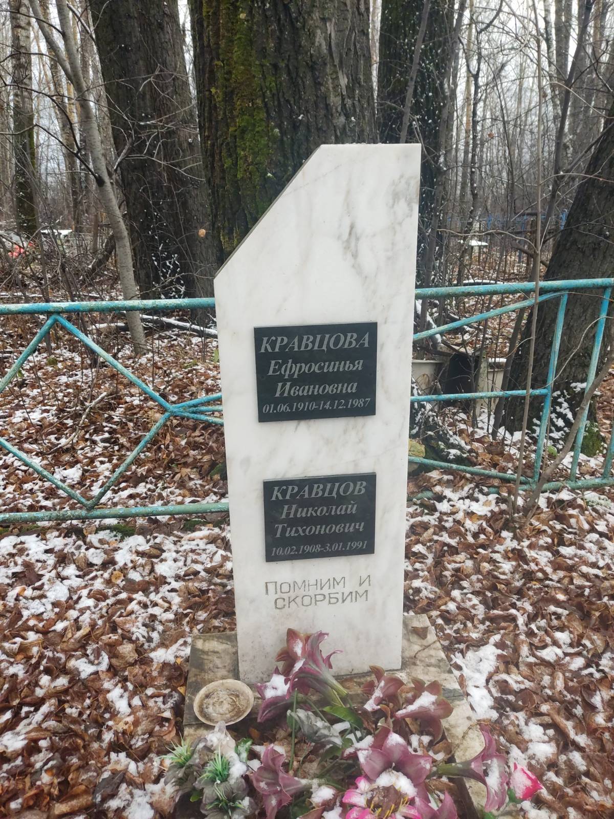 Кравцов Николай Тихонович