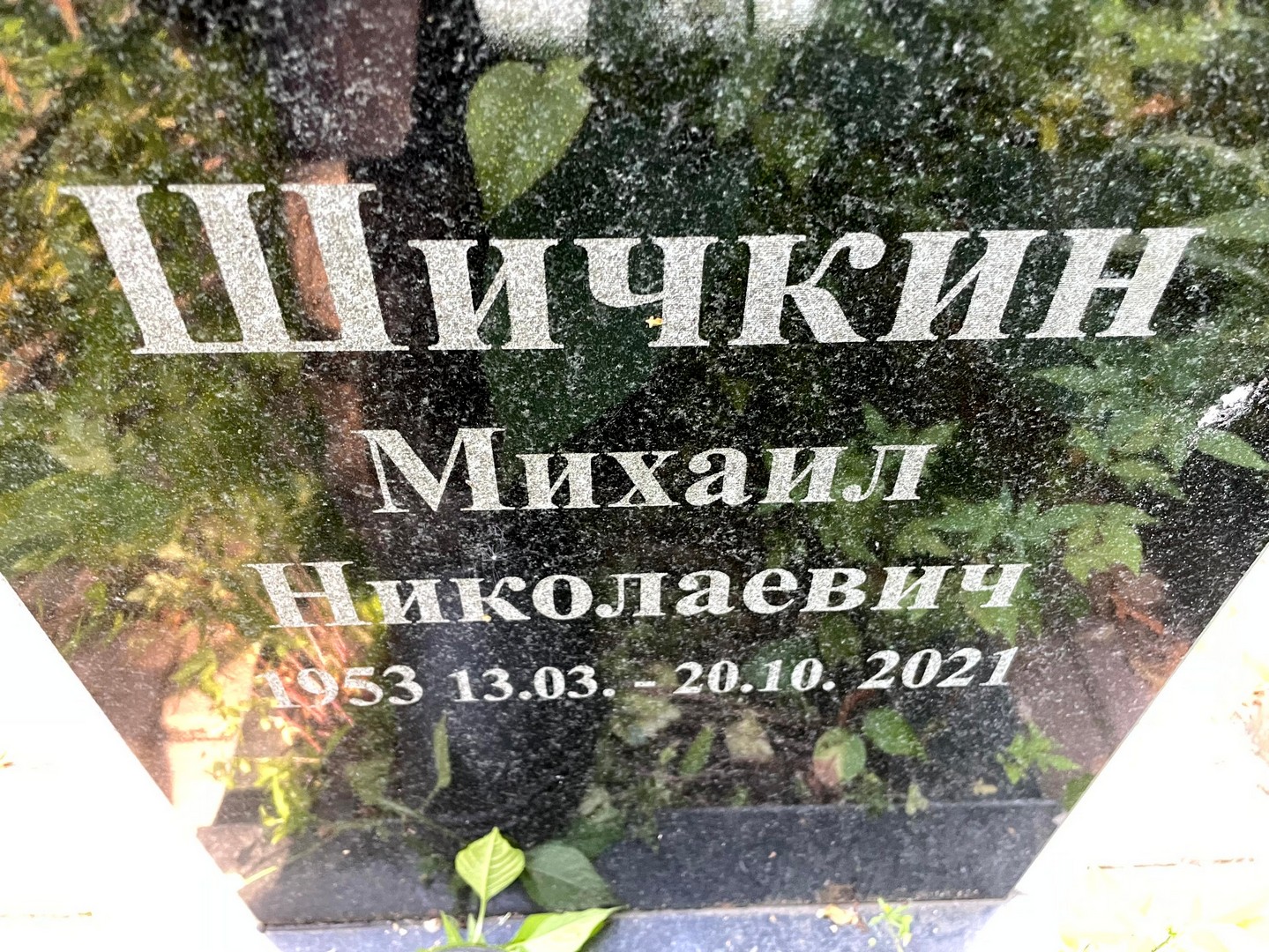 Шичкин