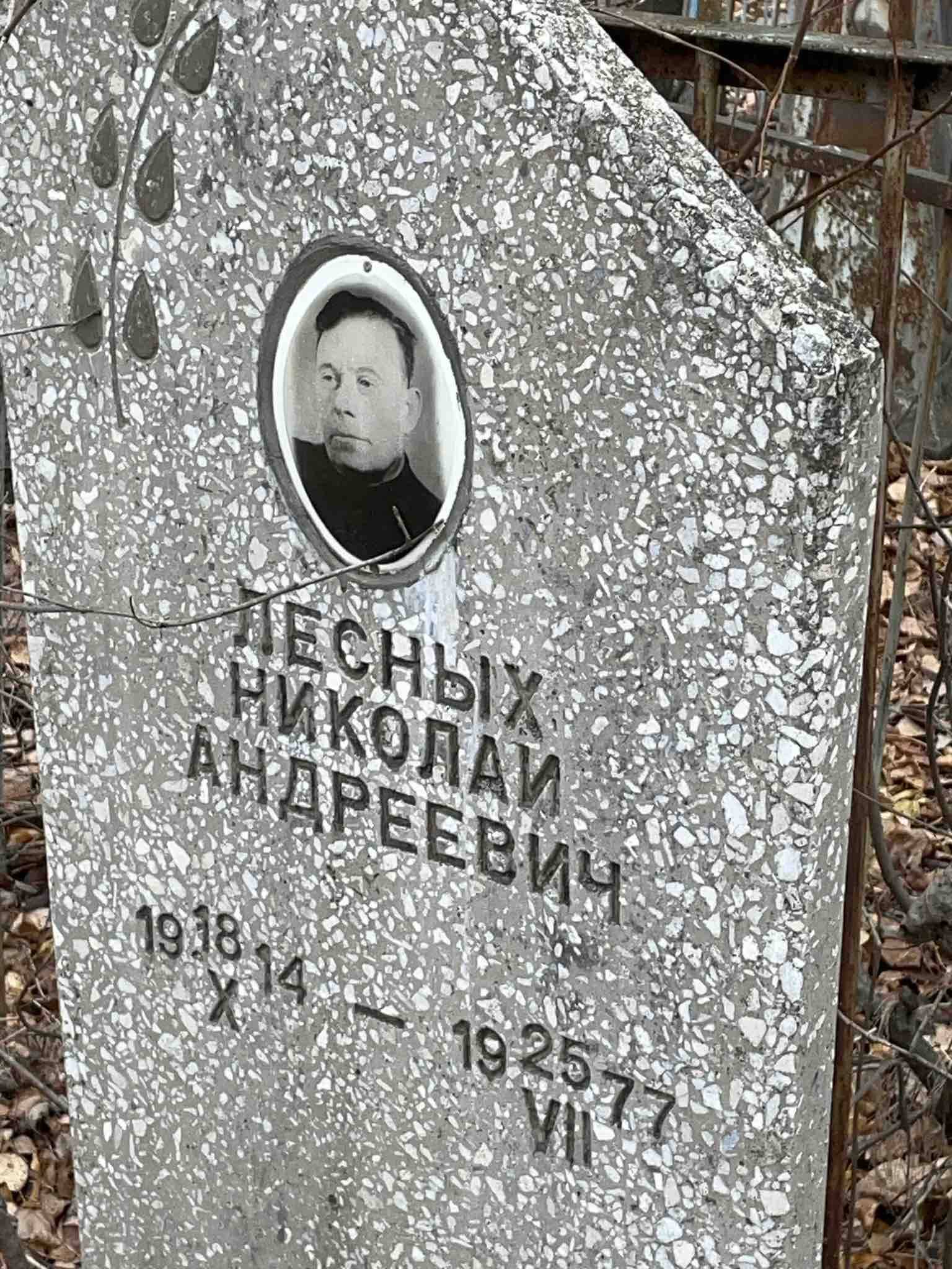 Лесных Николай Андреевич