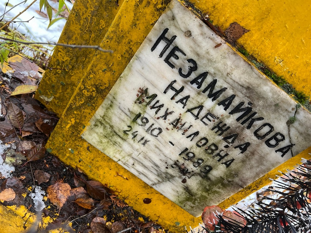 Незамайкова Надежда Михайловна