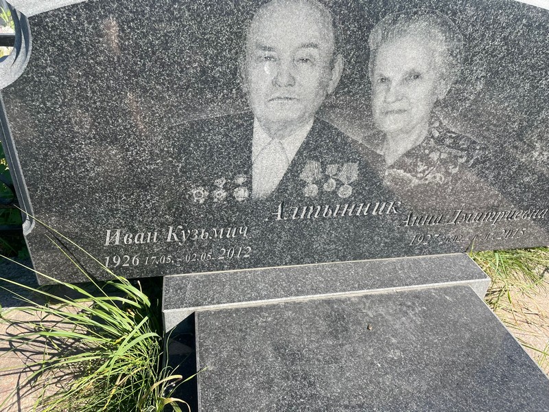 Алтынник