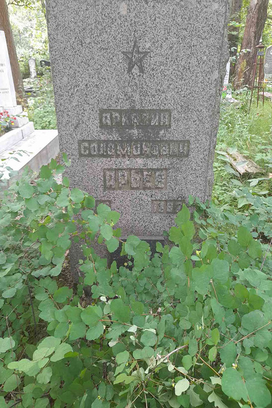 Соловьев Владимир Николаевич