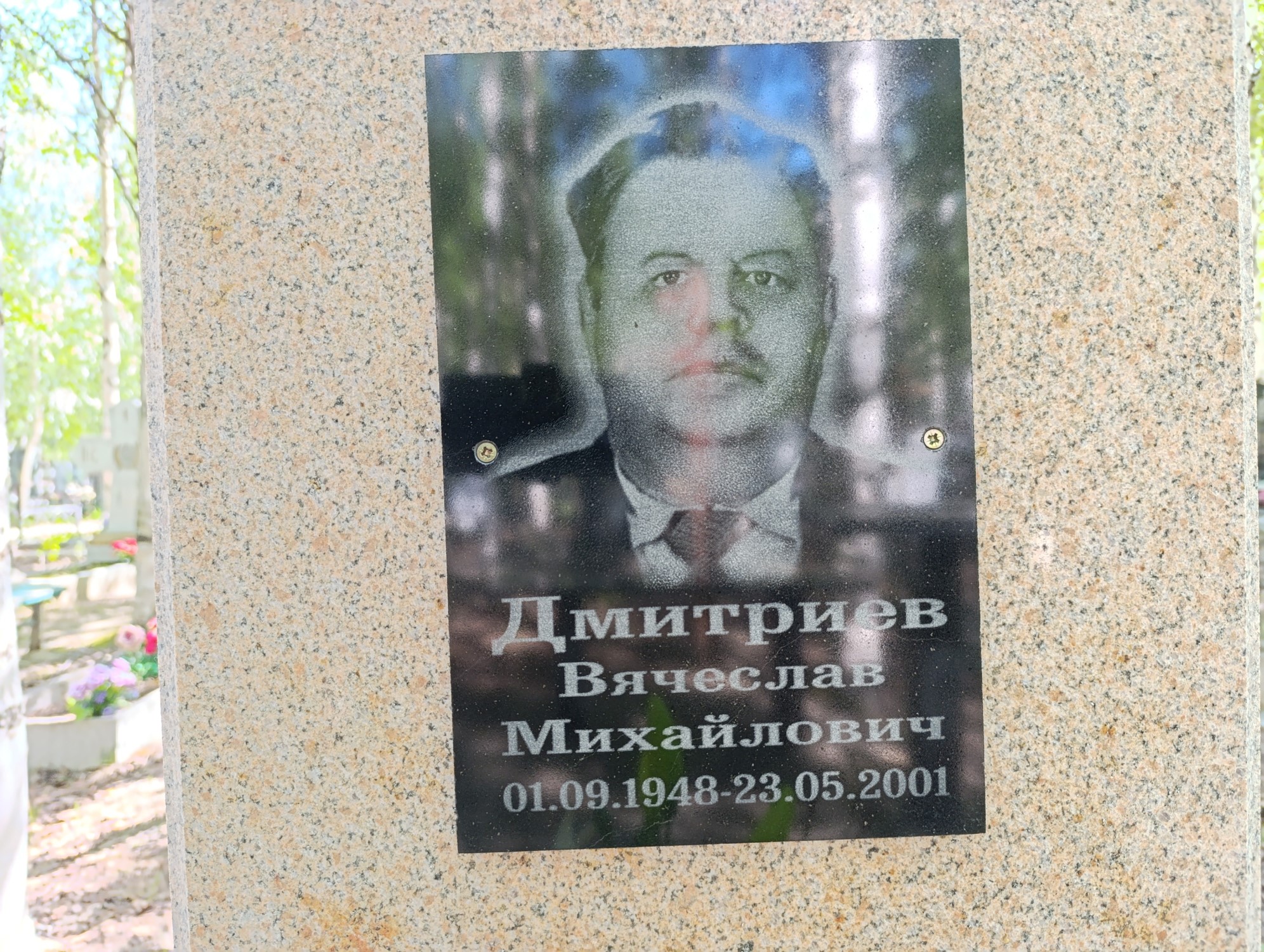 Дмитриев Вячеслав Михайлович