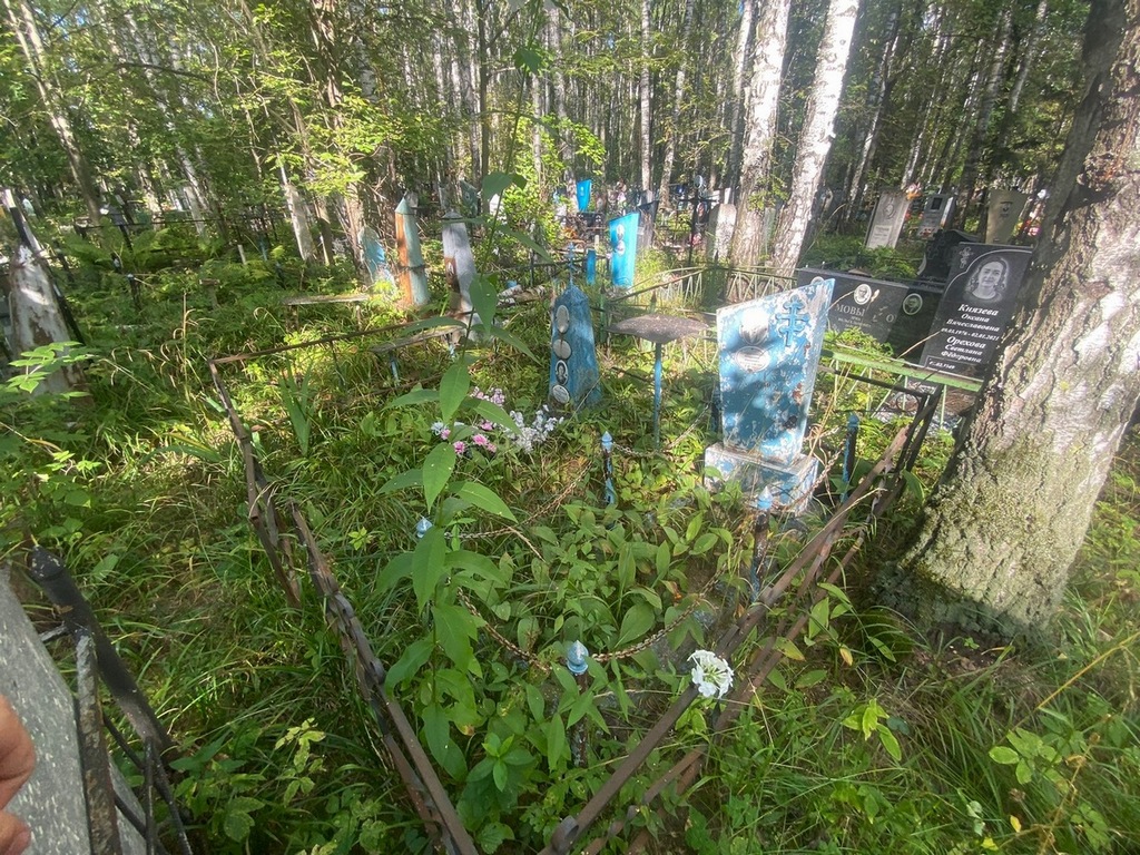Дикушникова Зоя Васильевна