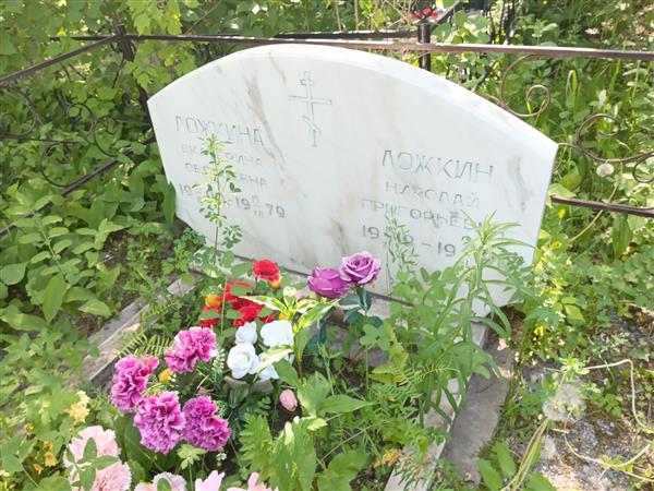 Ложкина Екатерина Сергеевна