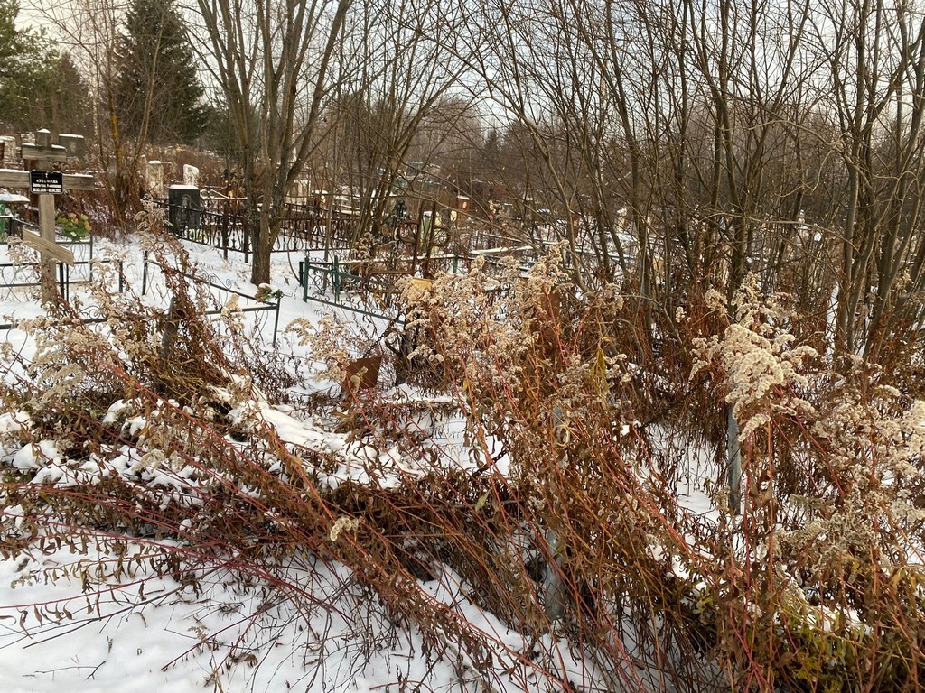 Смирнова Ольга Николаевна