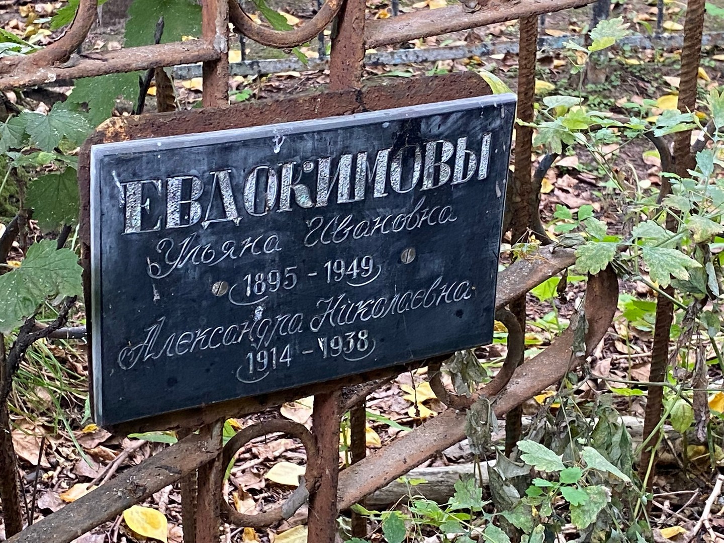 Евдокимова Ульяна Ивановна