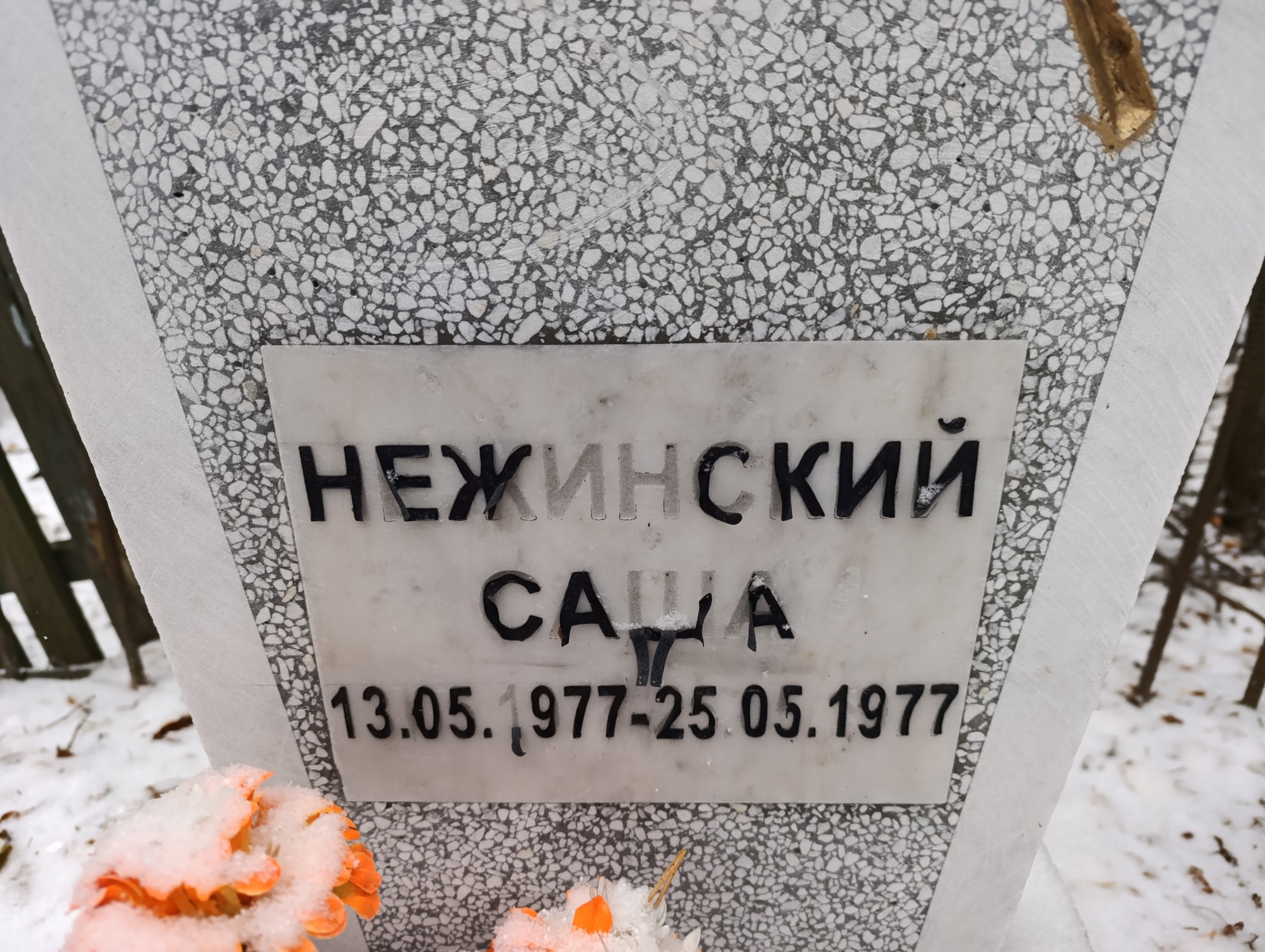 Нежинский Саша