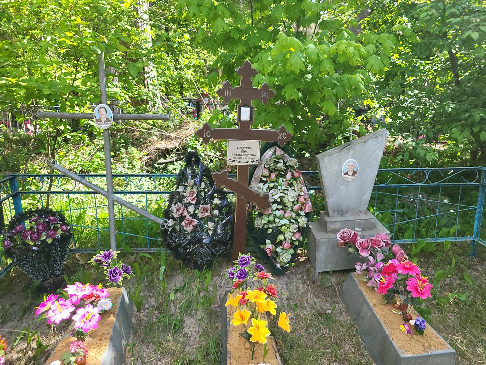 Андреева Вера Александровна