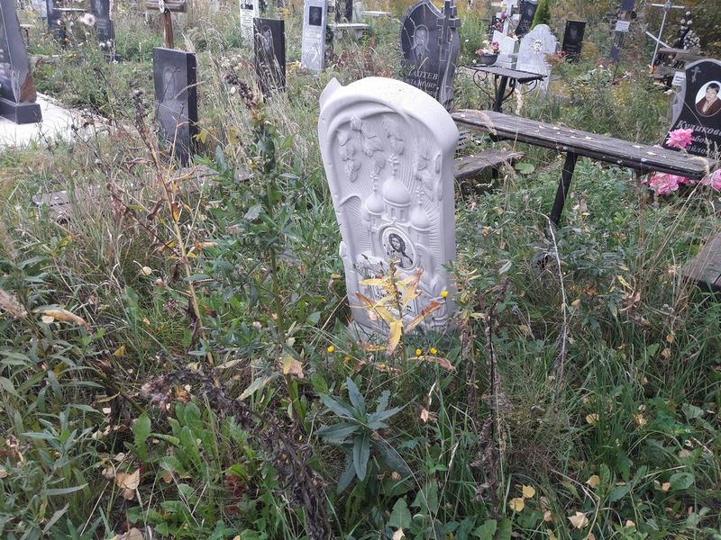 Петров Артур Александрович