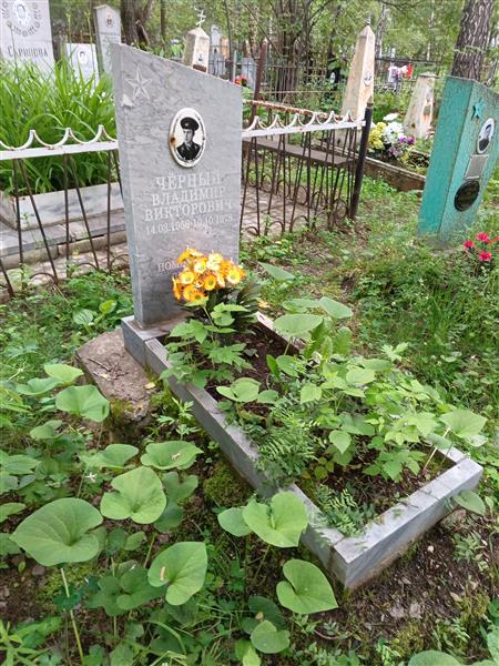 Черный Владимир Викторович