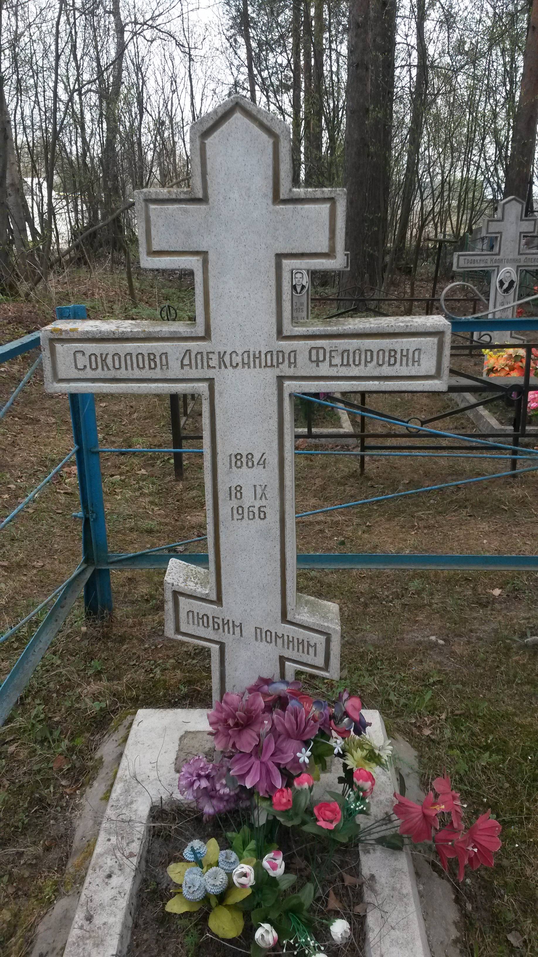 Шенаева Мария Михайловна