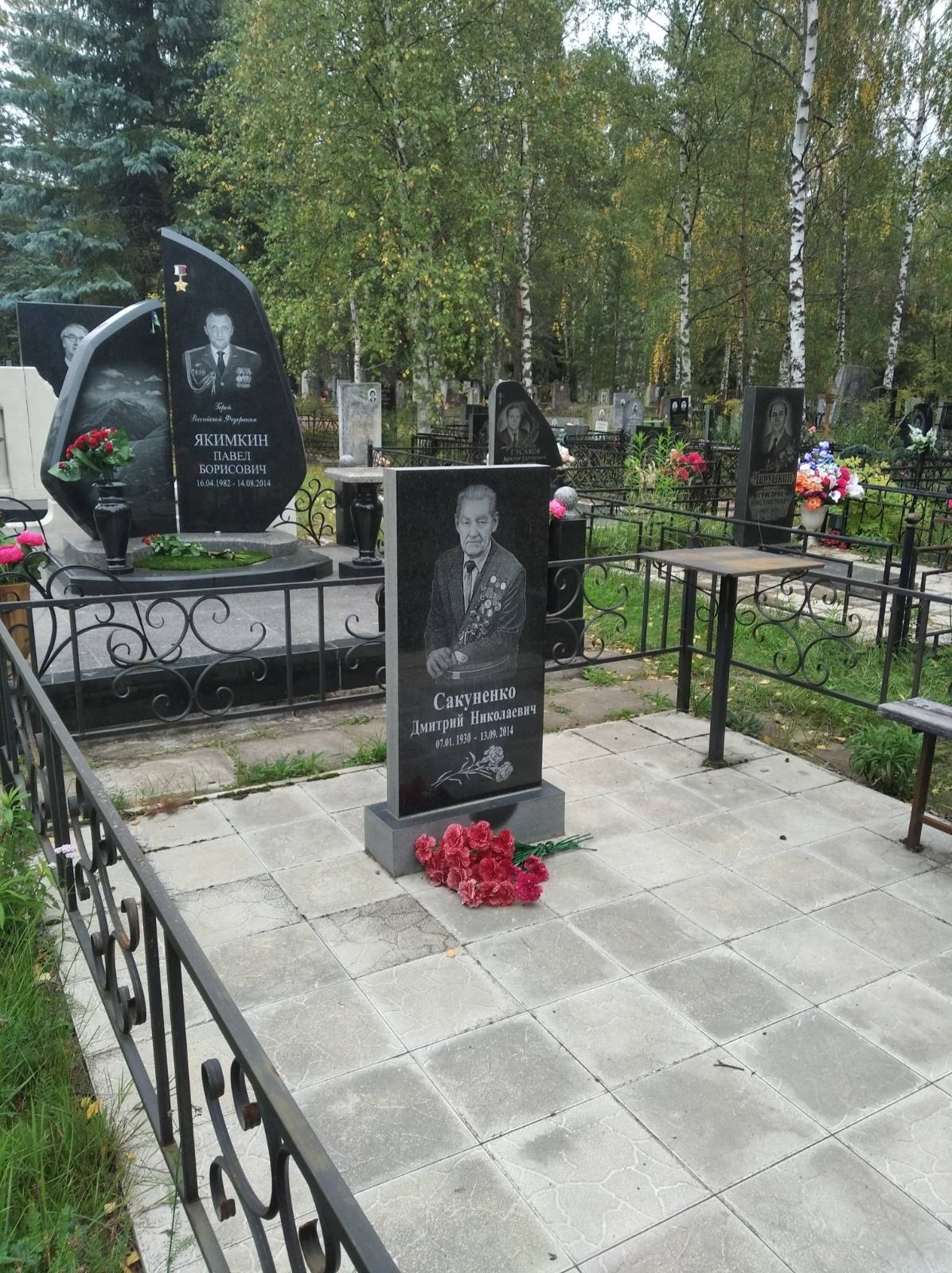 Сакуненко Дмитрий Николаевич