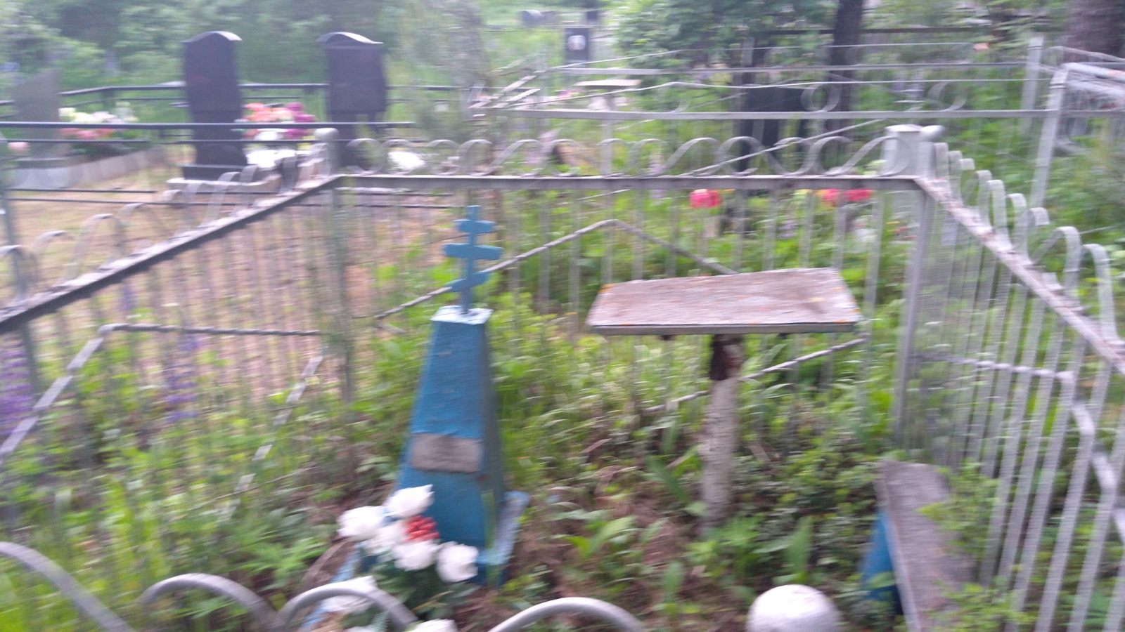 Гусева Елизавета Павловна