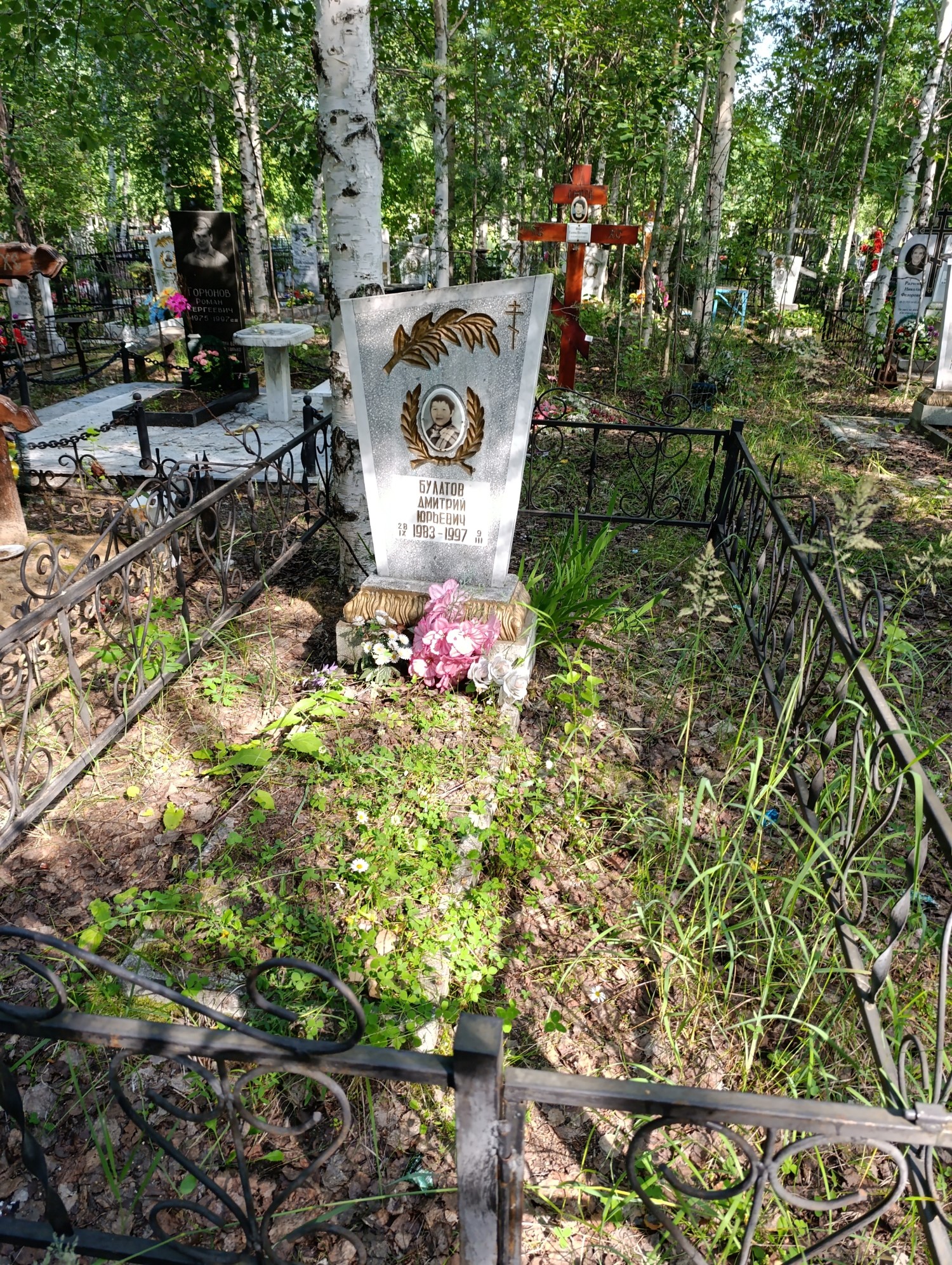Булатов Дмитрий Юрьевич