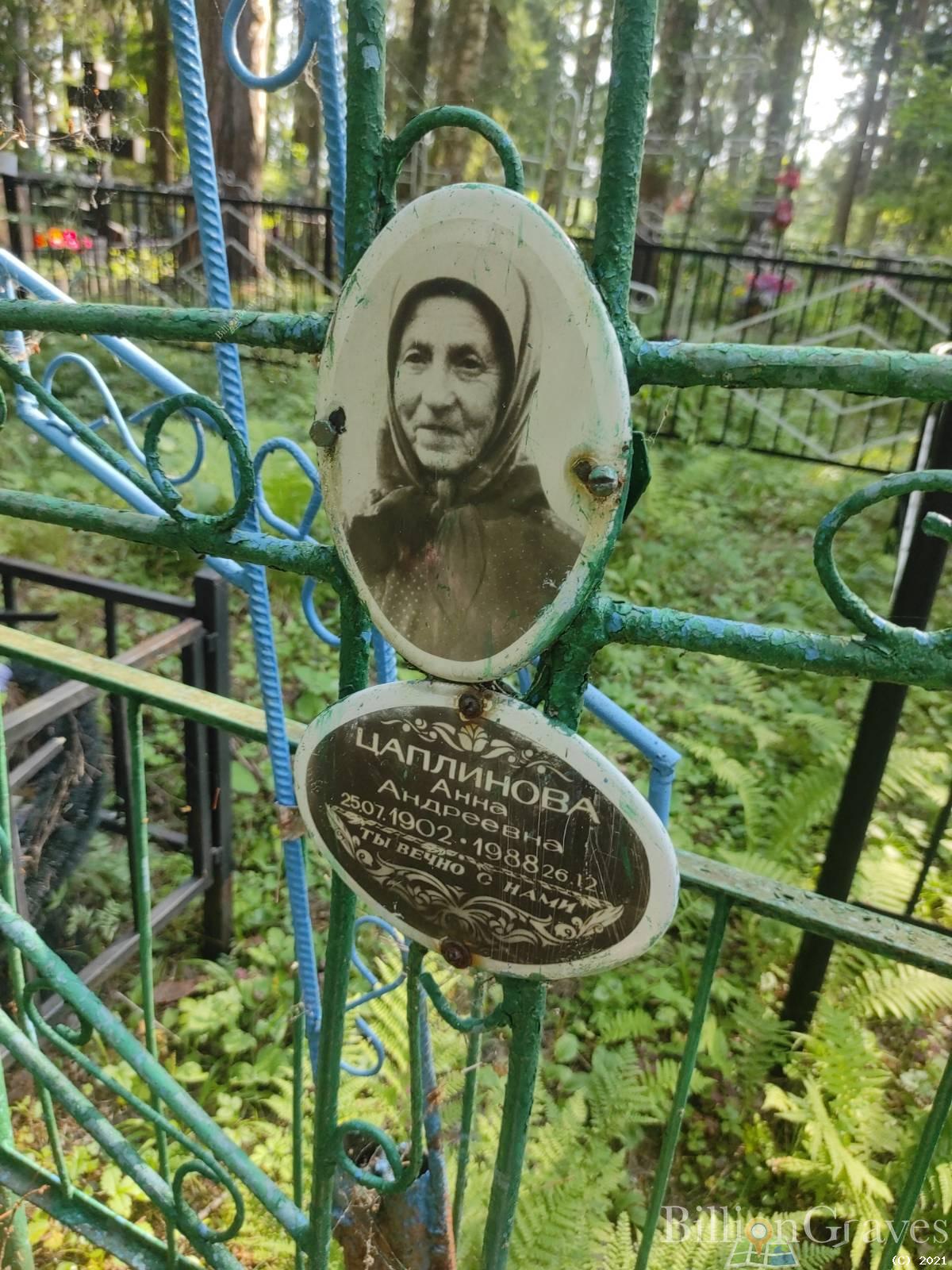 Цаплинова Анна Андреевна