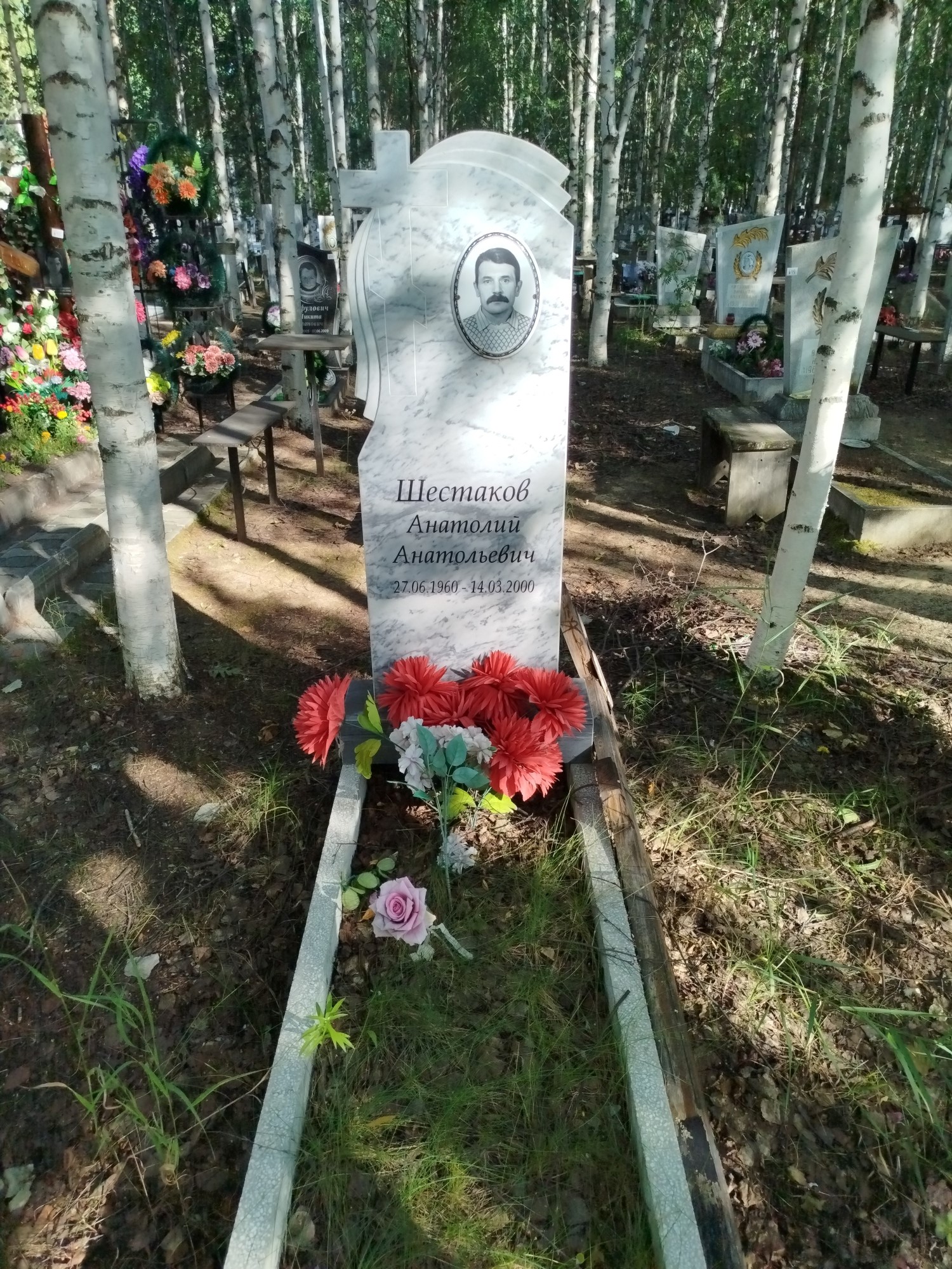Шестаков Анатолий Анатольевич