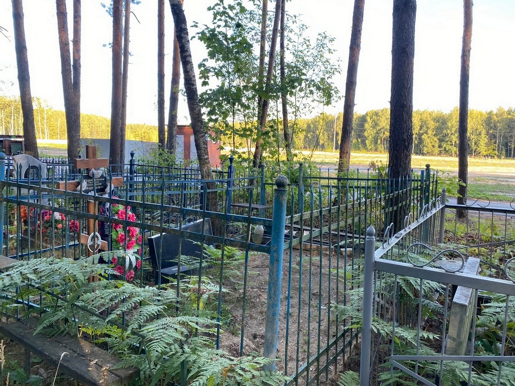 Курашина Анна Александровна