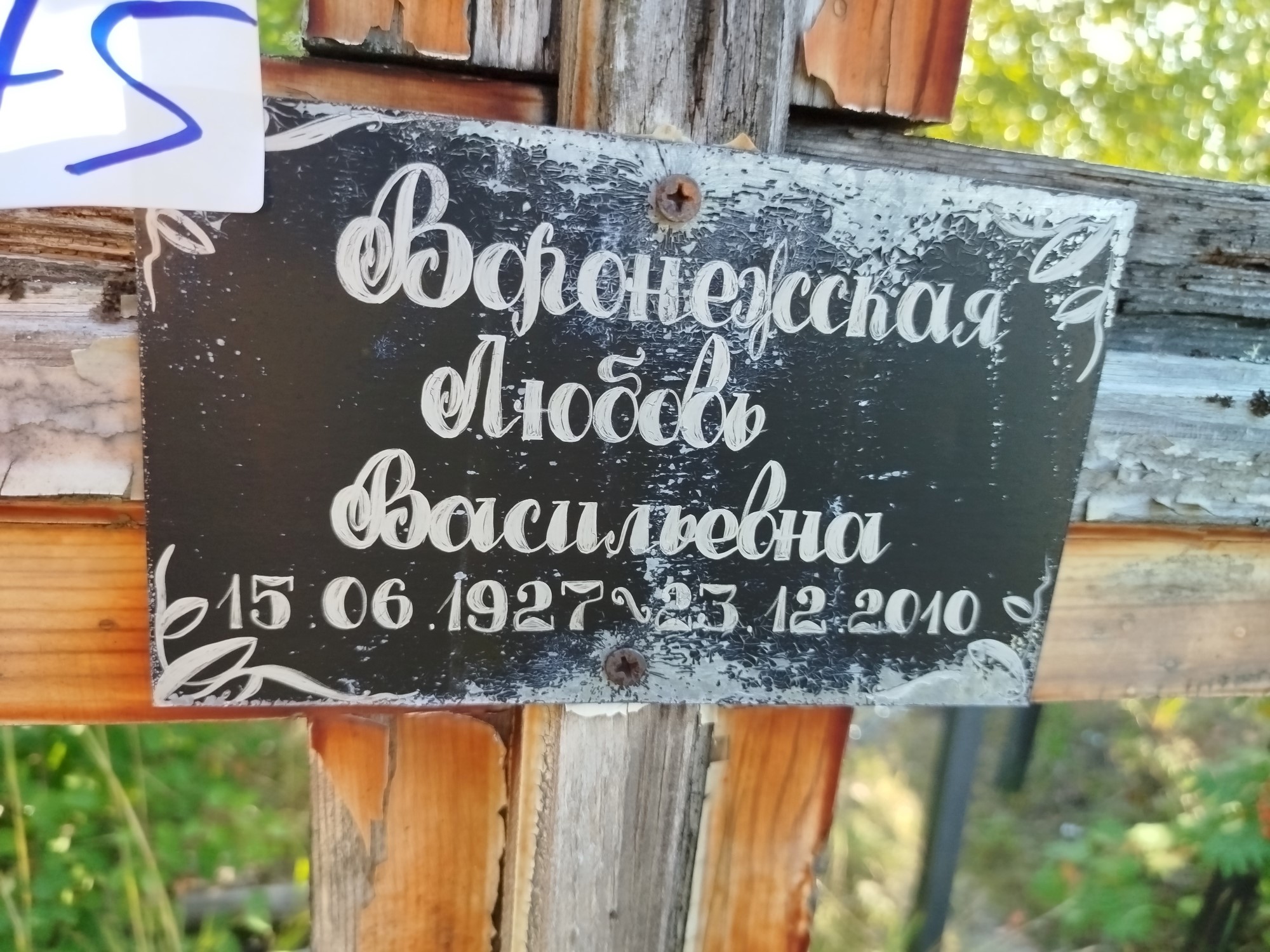 Воронежская Любовь Васильевна