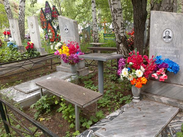 Дмитришина Татьяна Александровна