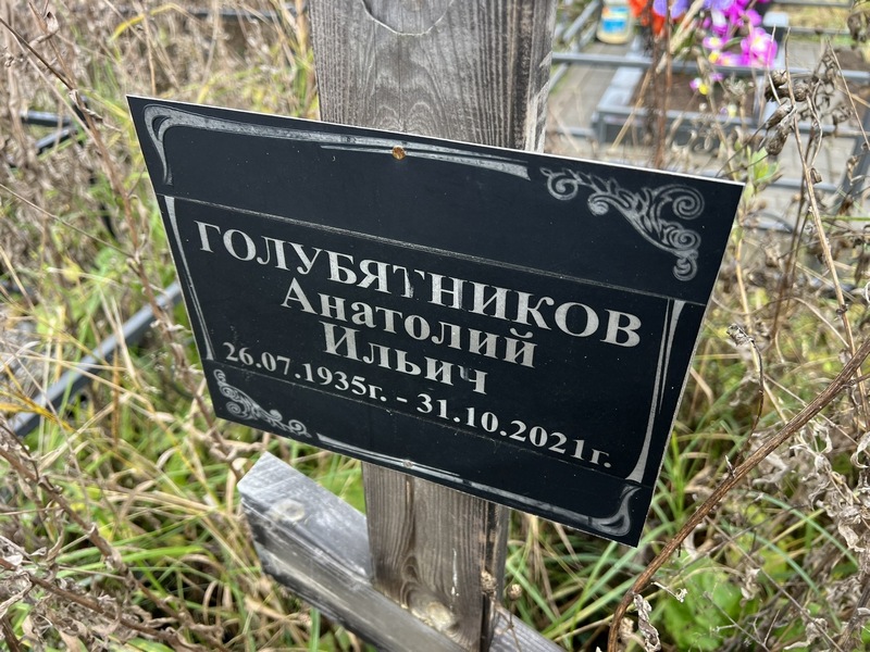 Голубятников