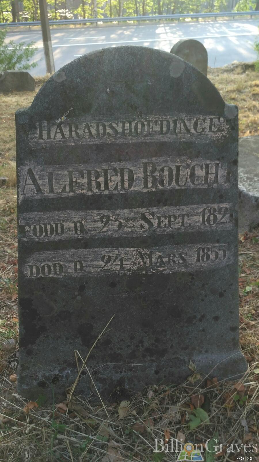 Bouch Alfred