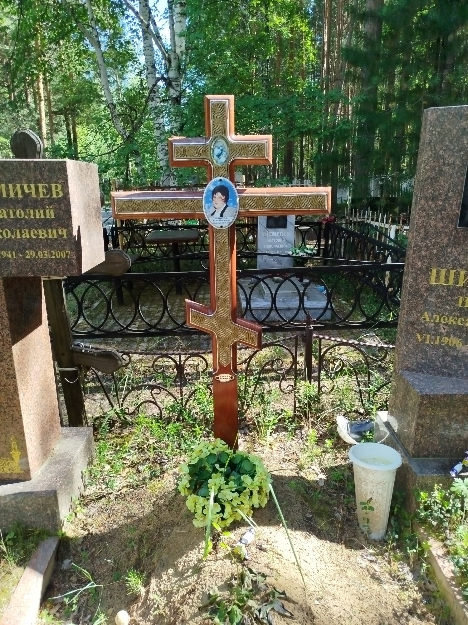 Немичева АЛла Павловна