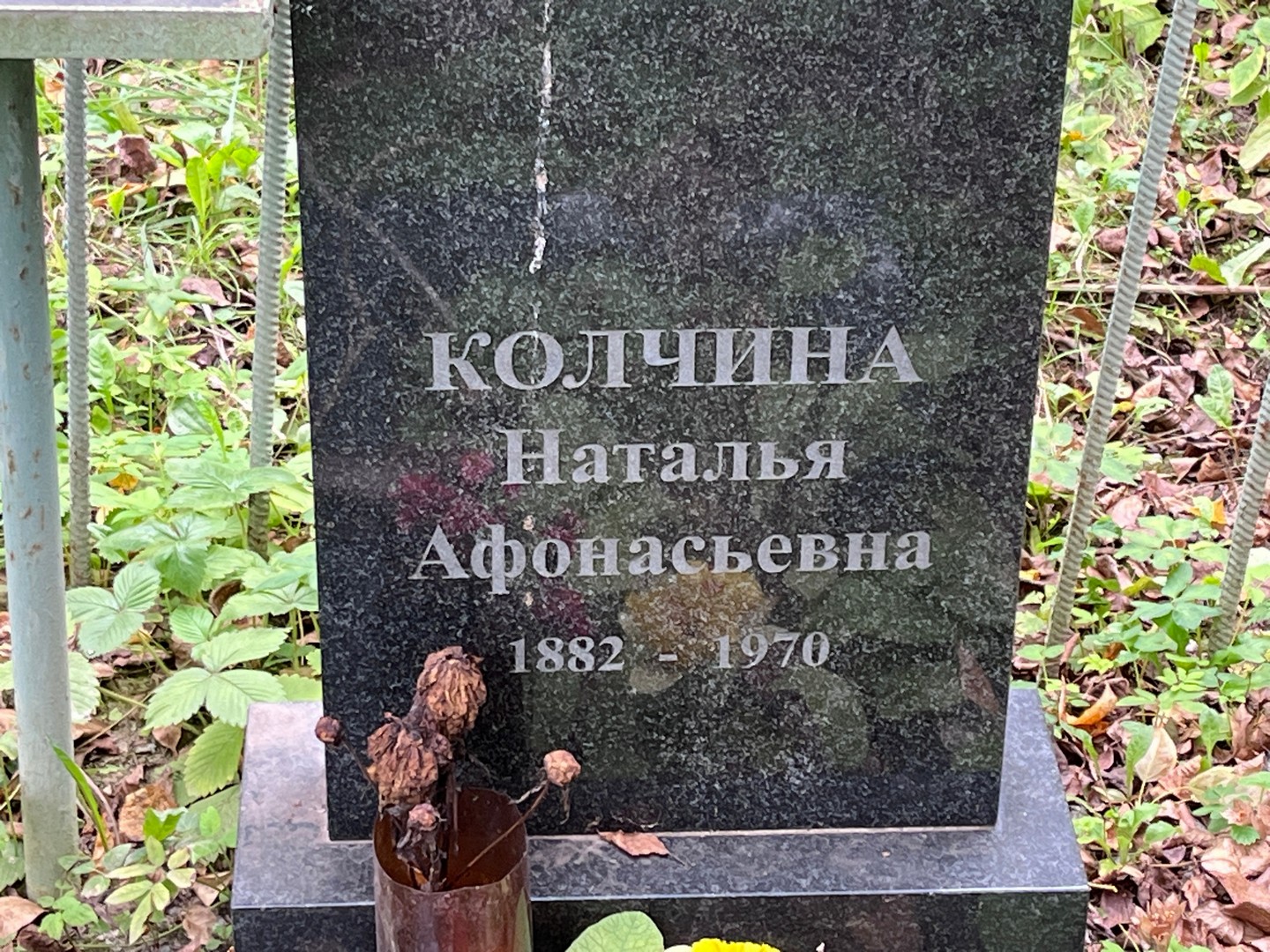 Колчина
