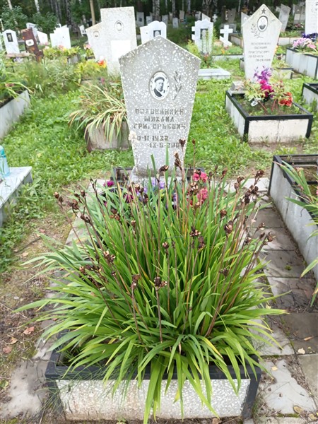 Половинкин Михаил Григорьевич