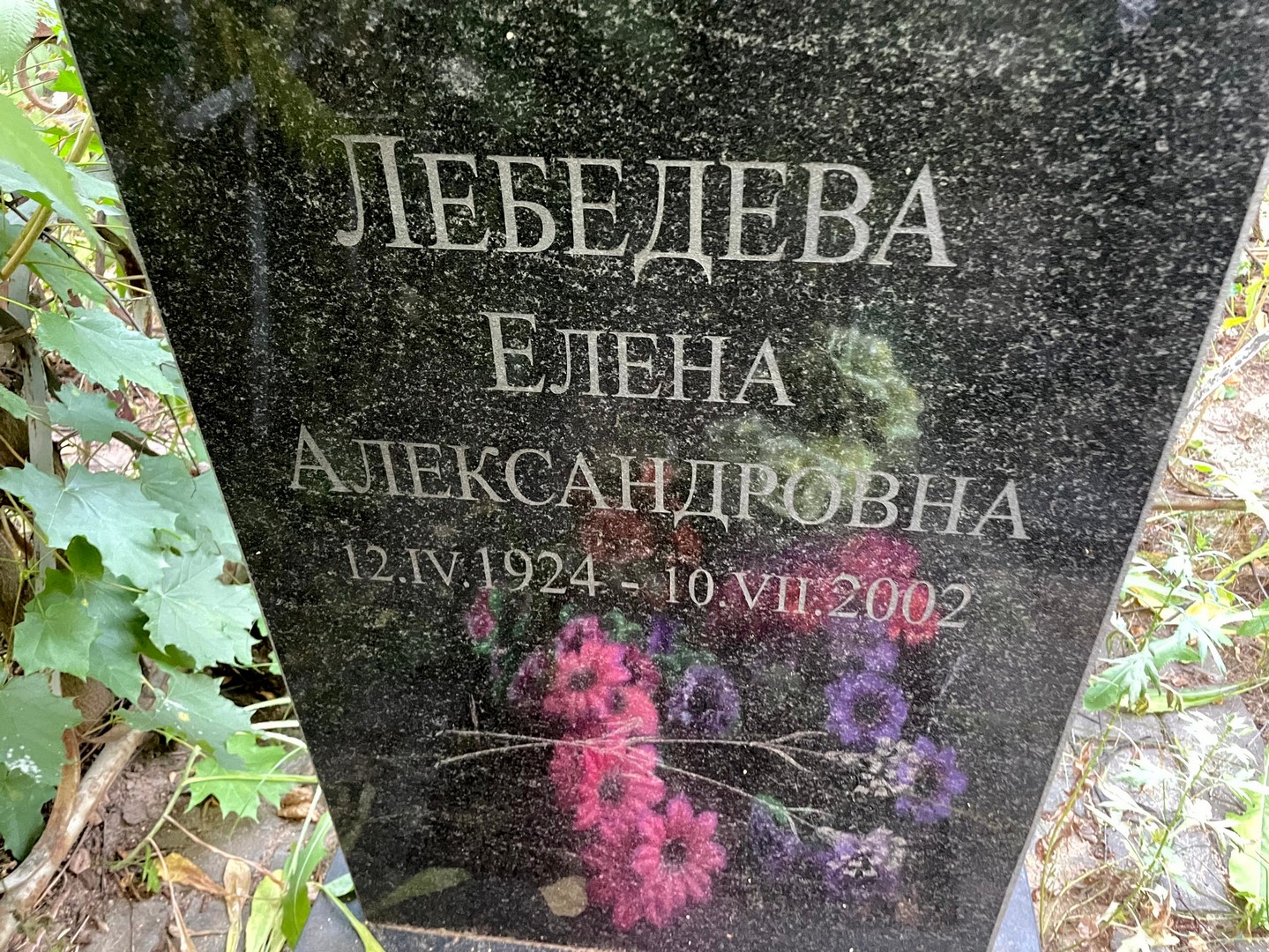 Лебедева