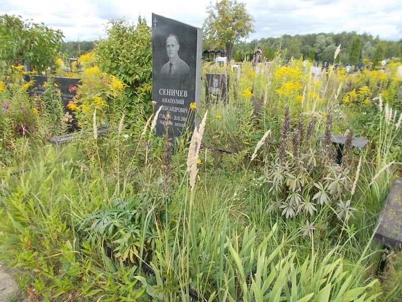 Сеничев Анатолий Александрович