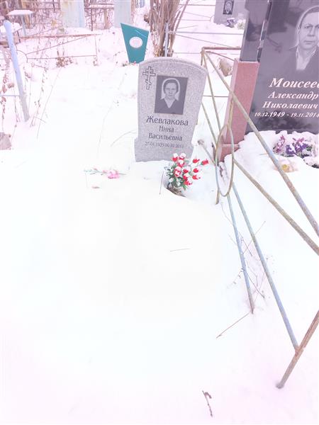 Жевлакова Нина Васильевна