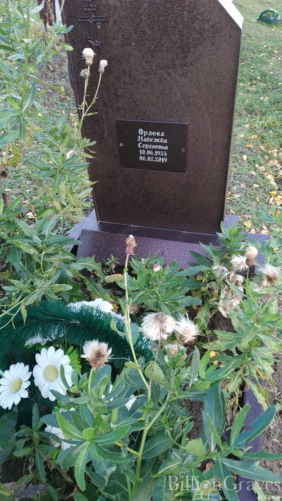 Орлова Надежда Сергеевна