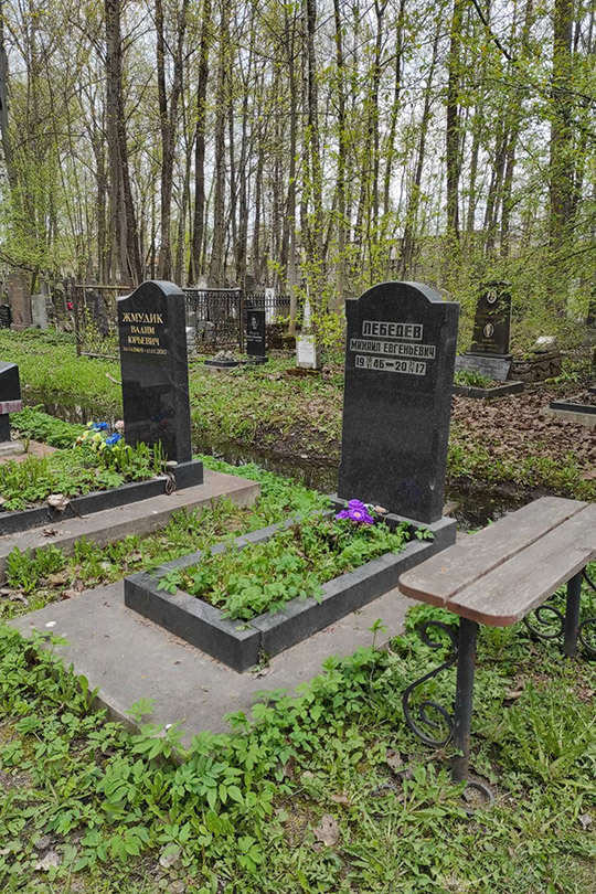 Лебедев Михаил Евгеньевич