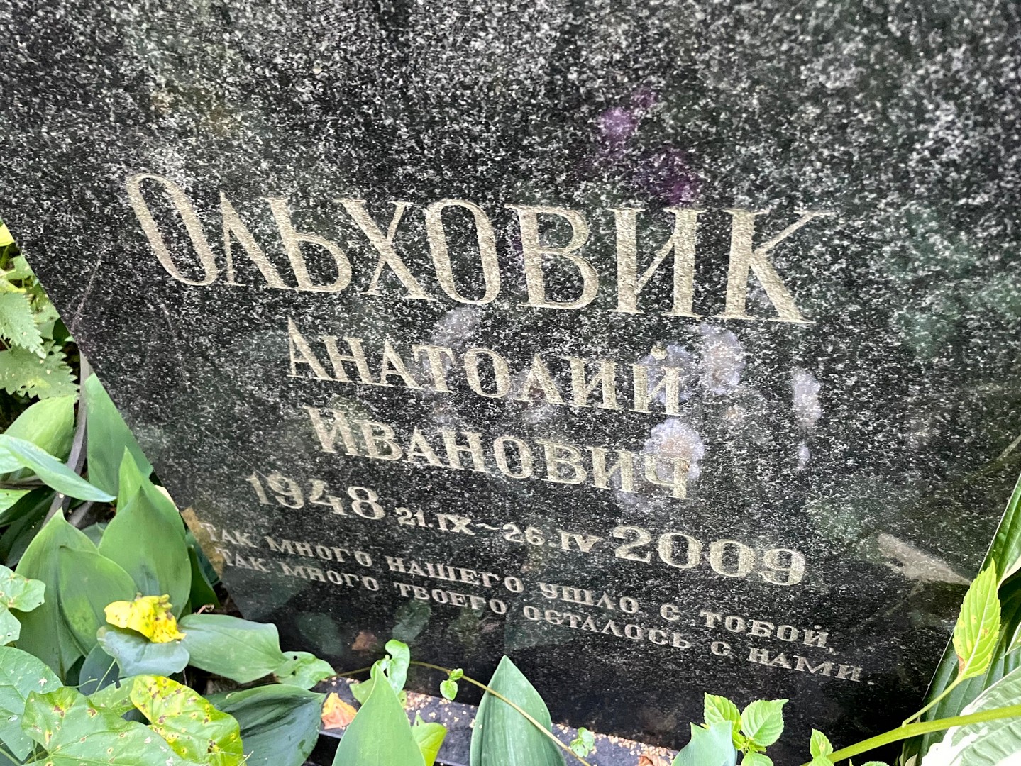 Ольховик