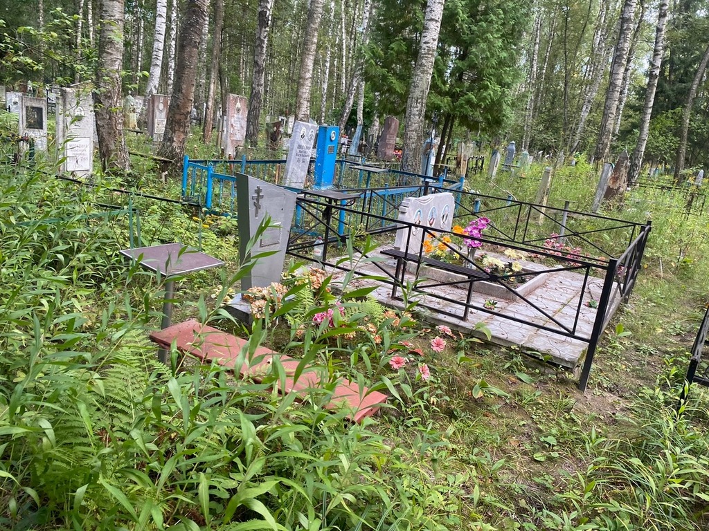 Молькова Дарья Степановна